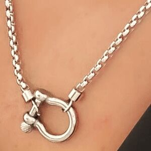 Silver horsesbit necklace.